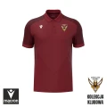 Koszulka polo.webp